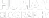 Human Biography